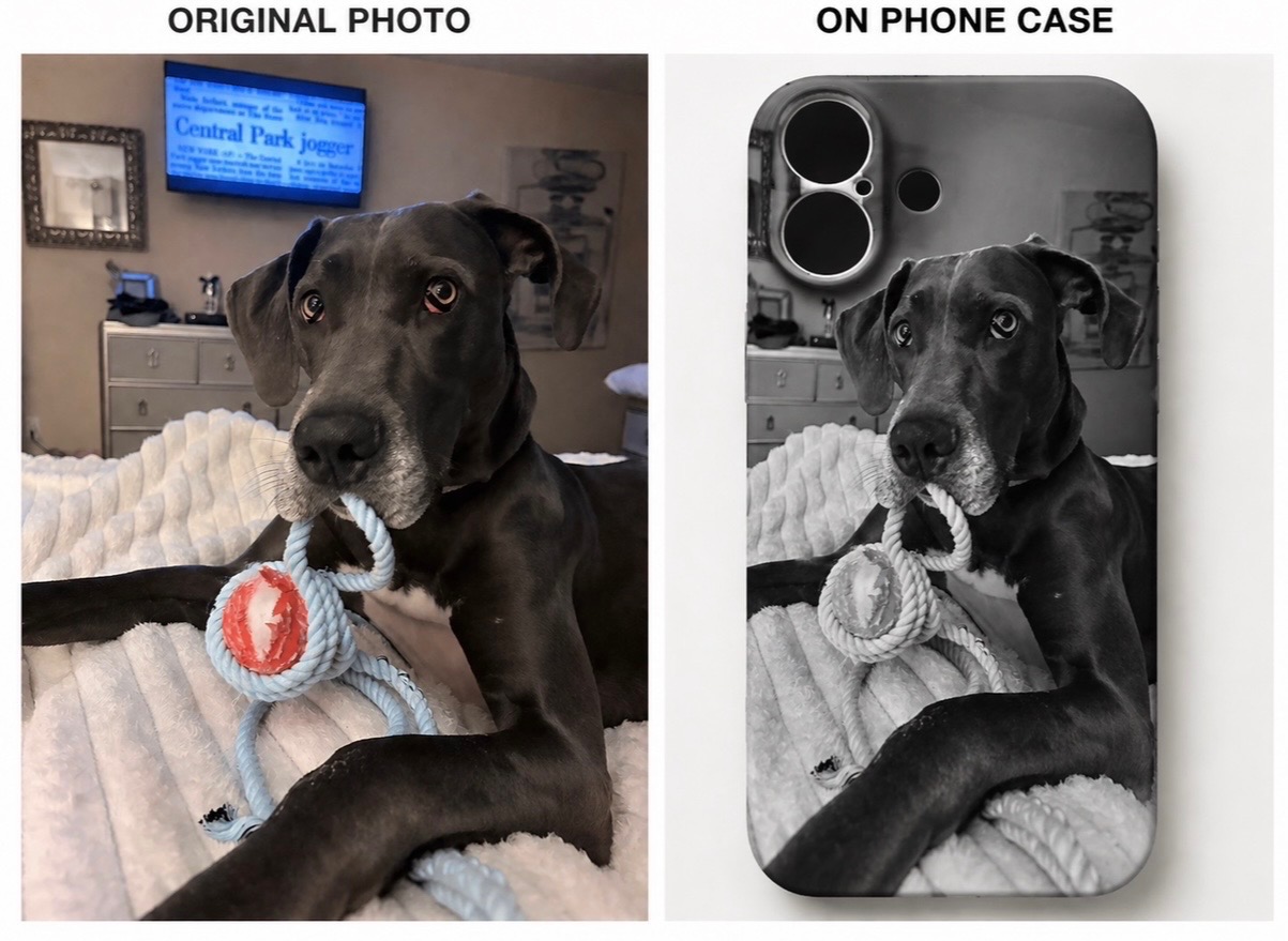 Pet Memorial Case